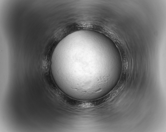 X0000093410609200710260939