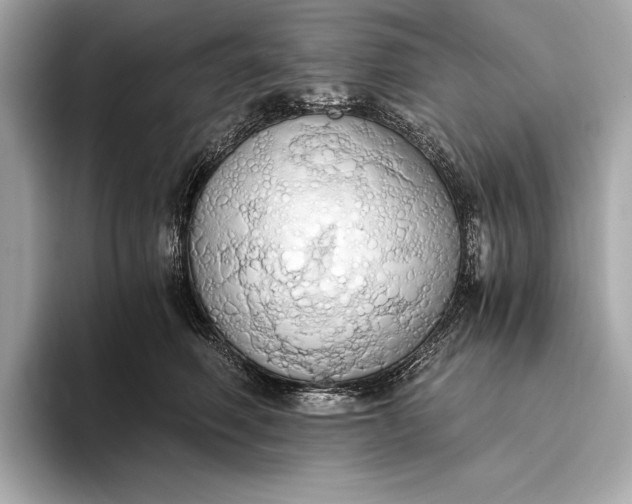 X0000093410614200710260939