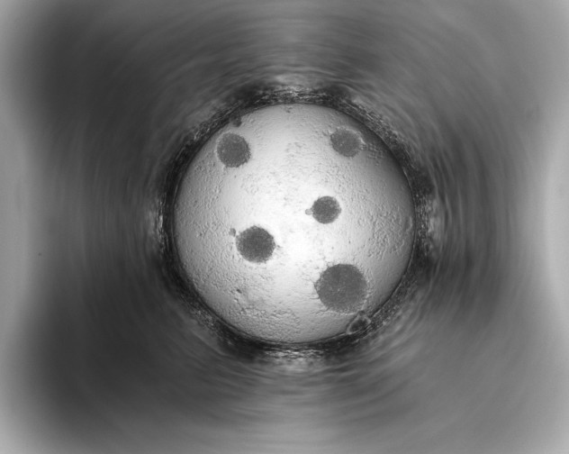 X0000093410615200710260939