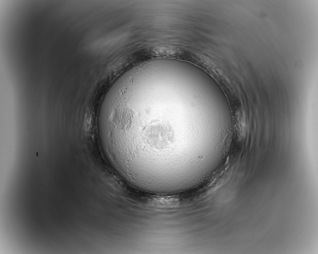 X0000093410619200710260939