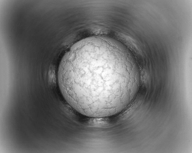 X0000093410622200710260939