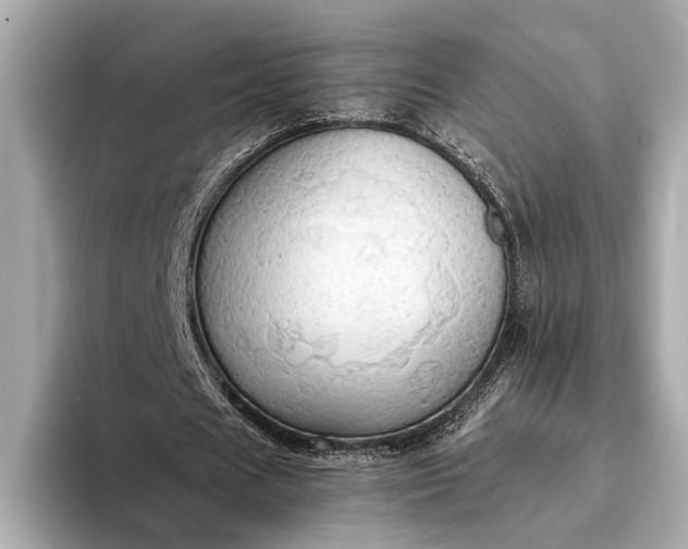 X0000093410625200710260938