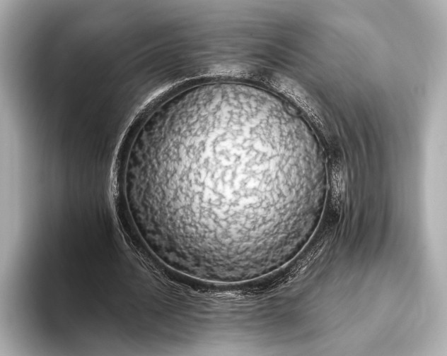 X0000093410628200710260938