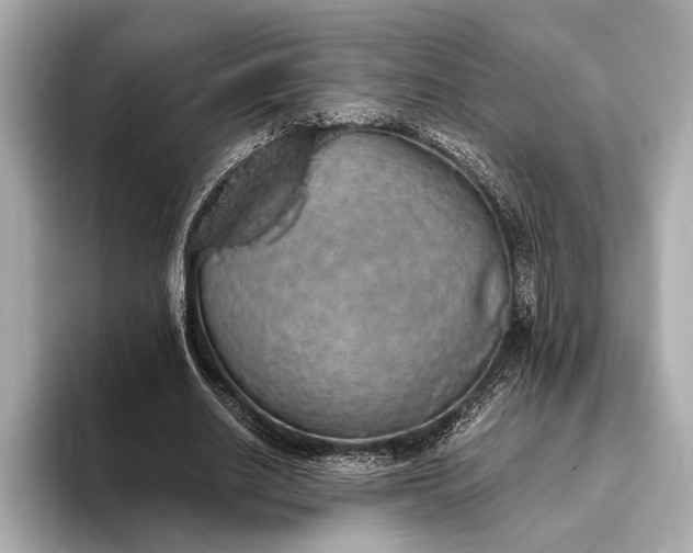 X0000093410630200710260938