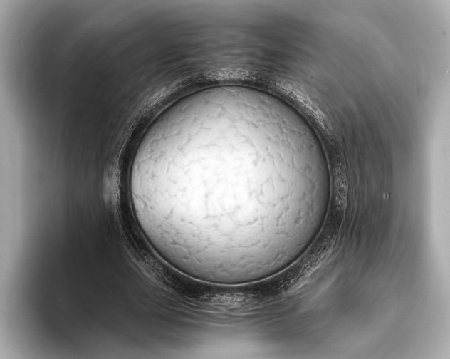 X0000093410631200710260938