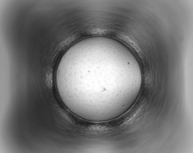 X0000093410633200710260938