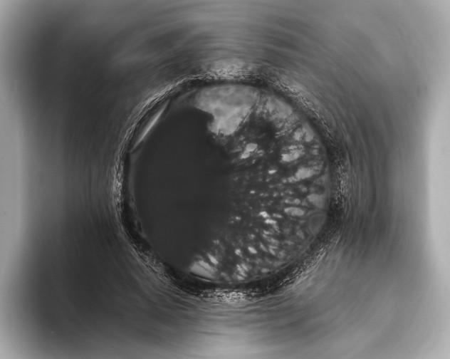 X0000093410640200710260938