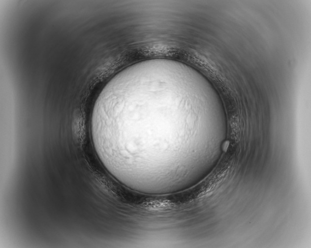 X0000093410642200710260938