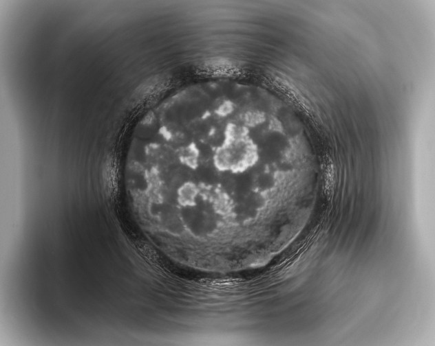 X0000093410643200710260938