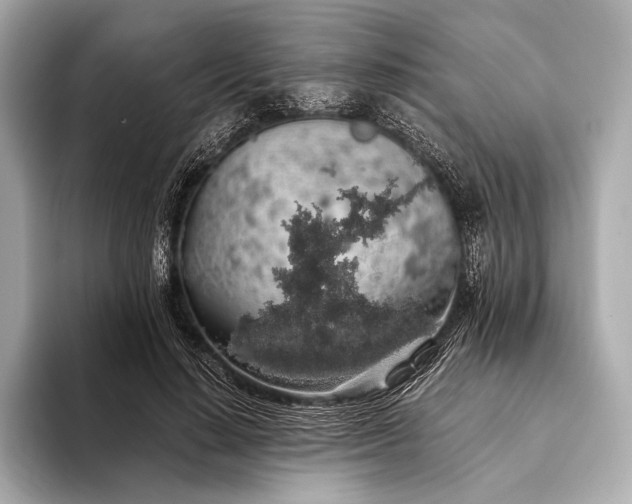 X0000093410644200710260938