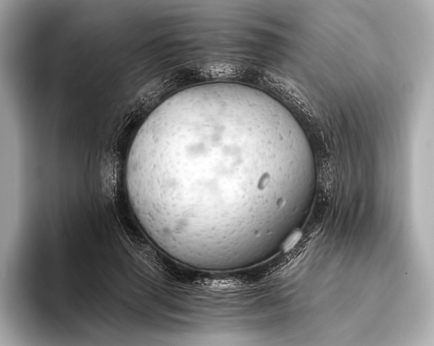 X0000093410645200710260938