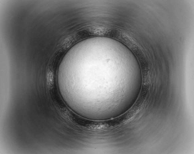 X0000093410646200710260938