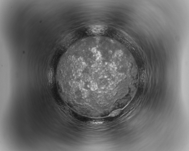 X0000093410651200710260938