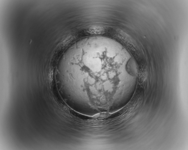 X0000093410652200710260938