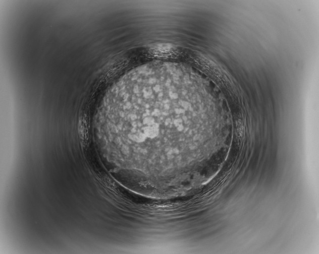 X0000093410653200710260938