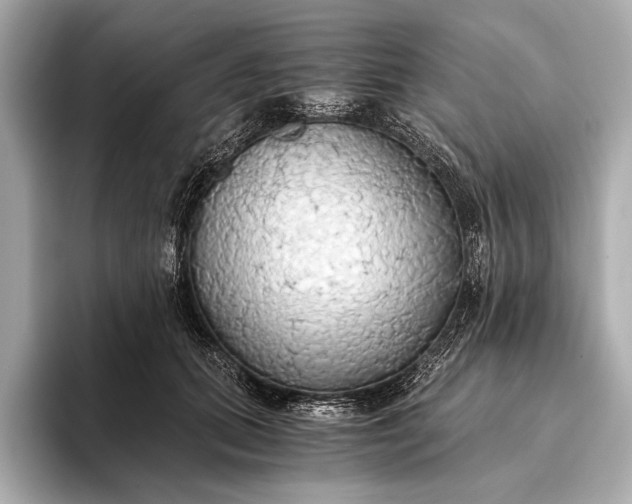 X0000093410655200710260939