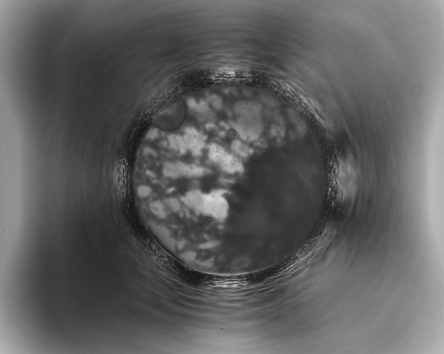 X0000093410659200710260939