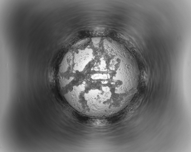 X0000093410663200710260939