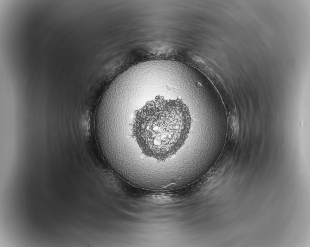 X0000093410668200710260939