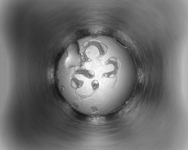 X0000093410670200710260939