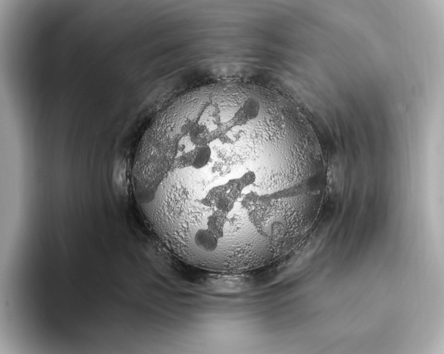 X0000093410671200710260939