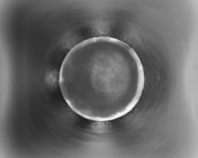 X0000093410672200710260939