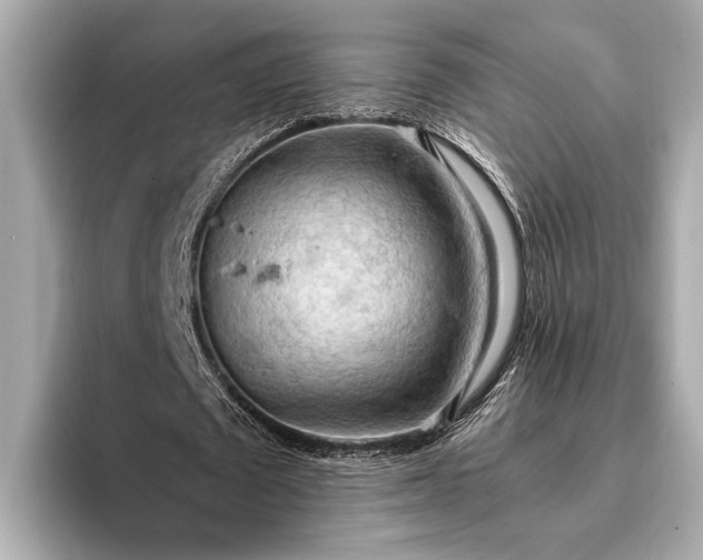 X0000093410673200710260938