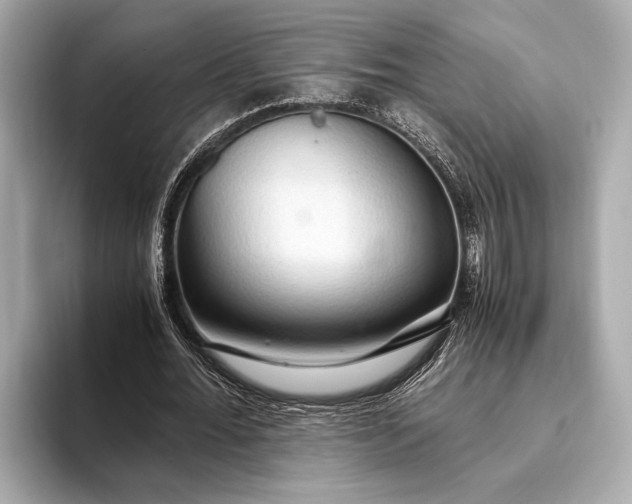 X0000093410676200710260938