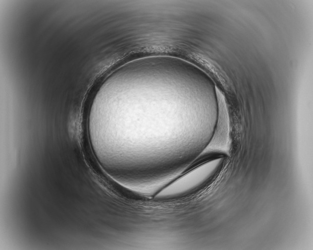 X0000093410677200710260938