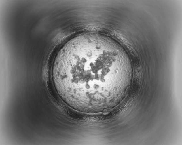 X0000093410679200710260938