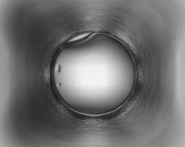 X0000093410681200710260938