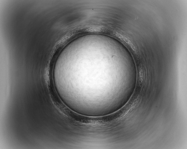 X0000093410682200710260938