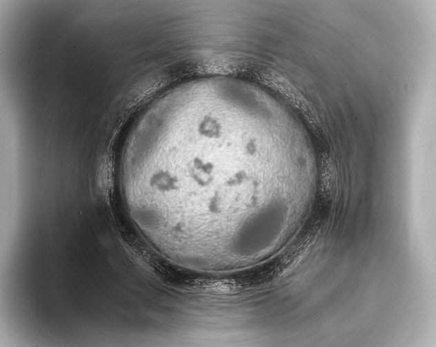 X0000093410683200710260938