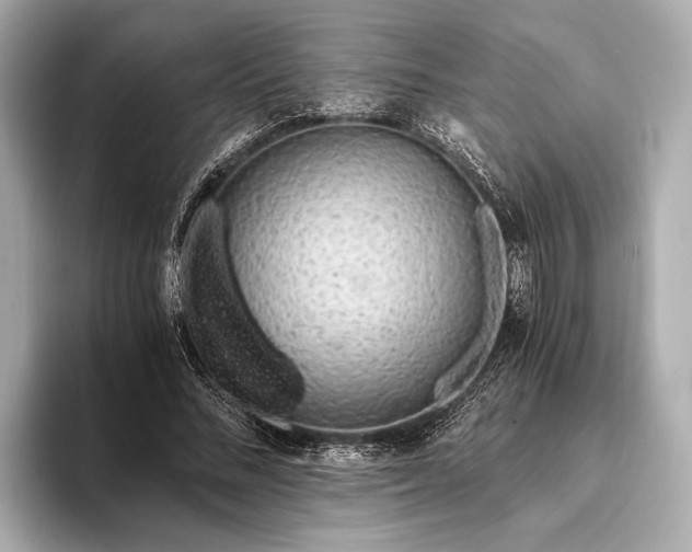 X0000093410684200710260938