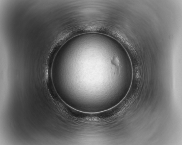 X0000093410685200710260938