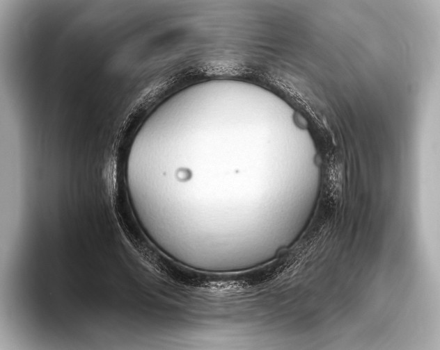 X0000093410686200710260938