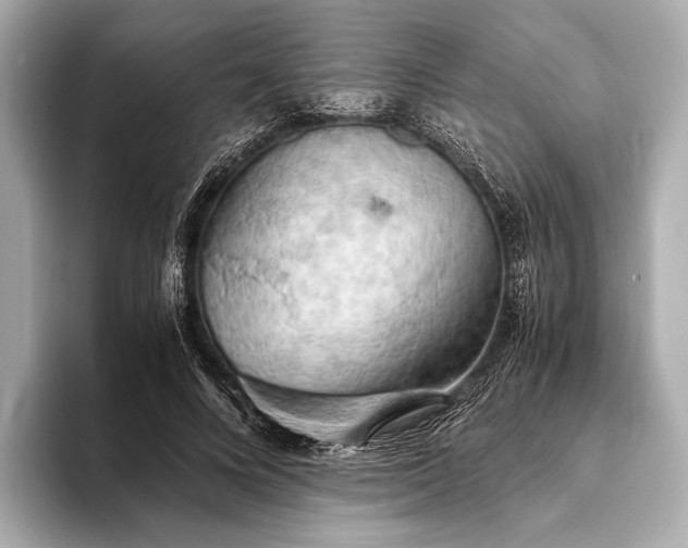 X0000093410688200710260938