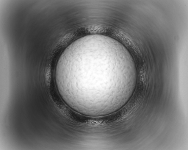 X0000093410690200710260938