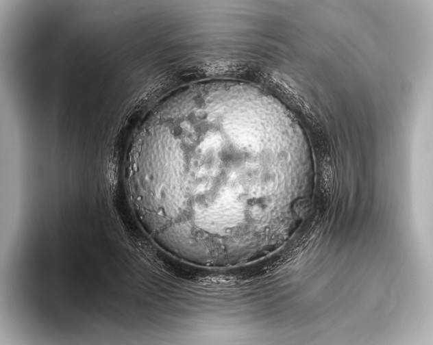 X0000093410691200710260938