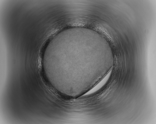 X0000093410692200710260938