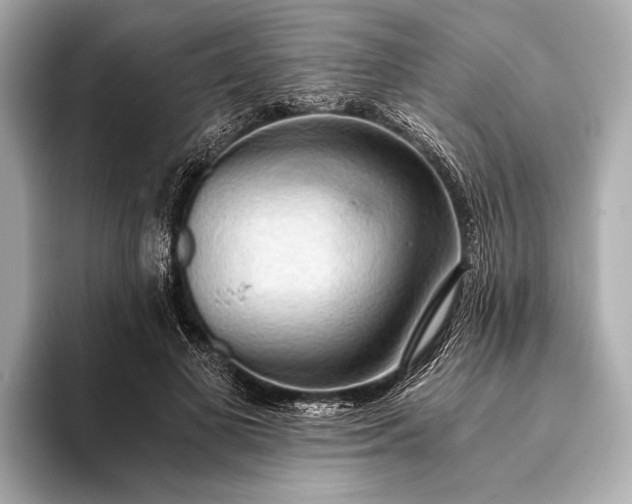 X0000093410693200710260938