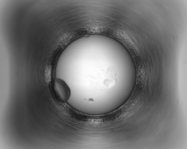 X0000093410694200710260938