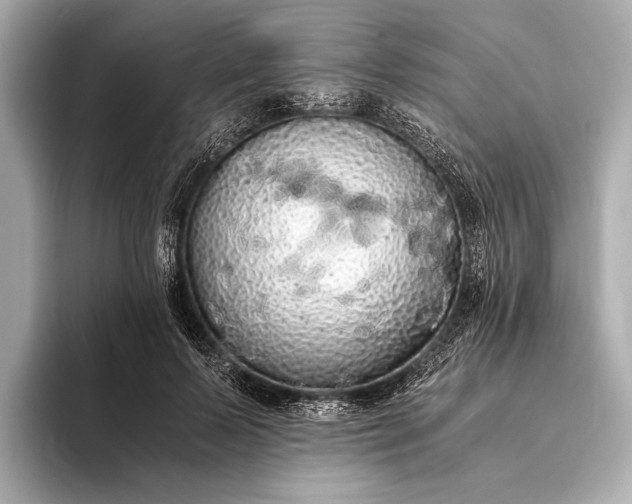 X0000093410695200710260938