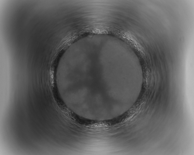 X0000093410696200710260938