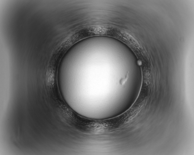 X0000093410697200710260938