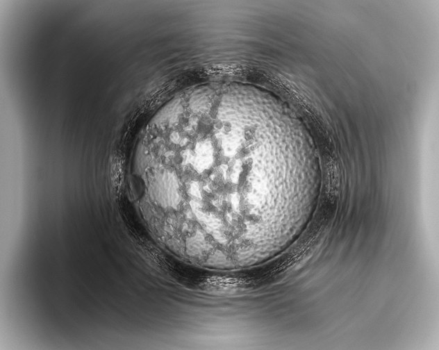 X0000093410699200710260938