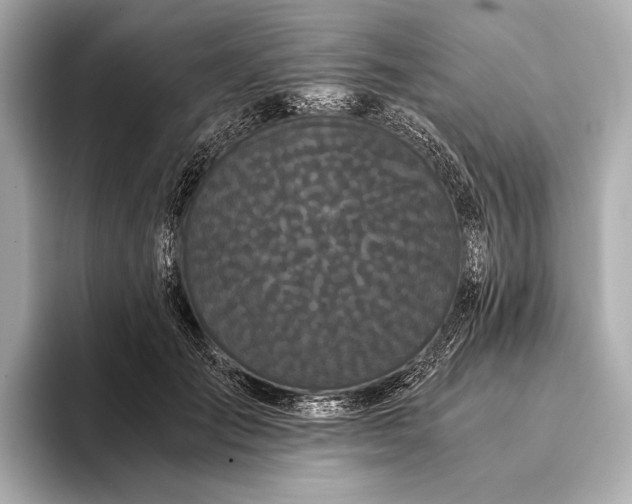 X0000093410701200710260938