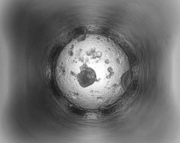 X0000093410703200710260938