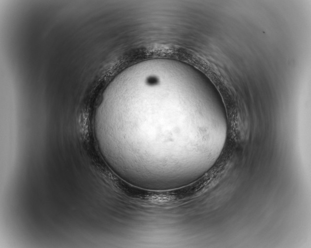 X0000093410708200710260938