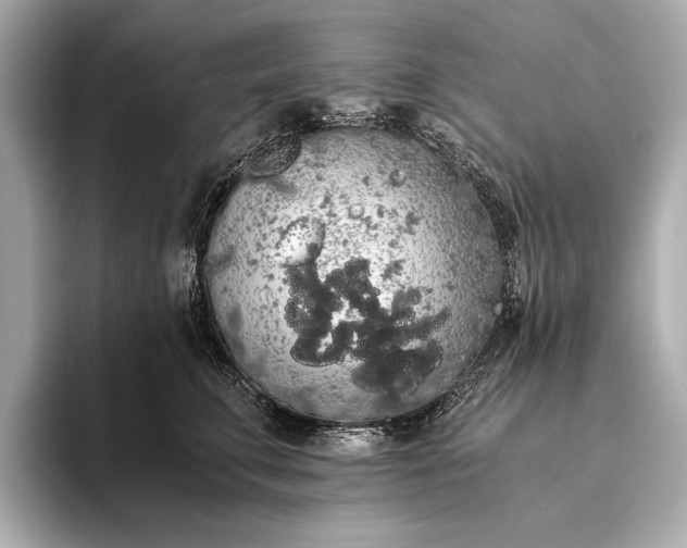 X0000093410711200710260938